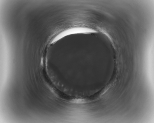 X0000084580067200703161748