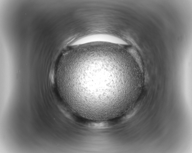 X0000084580068200703161748
