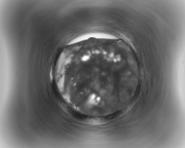 X0000084580069200703161748