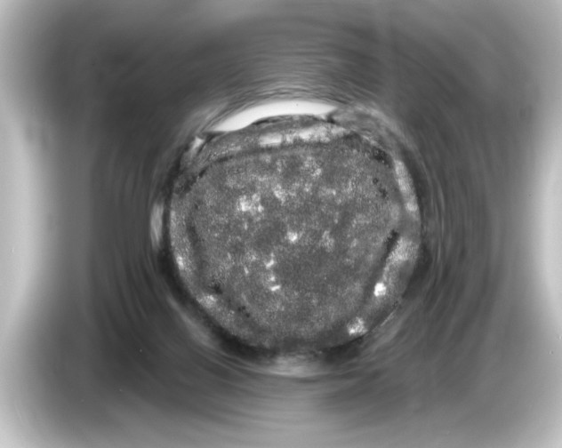 X0000084580070200703161748