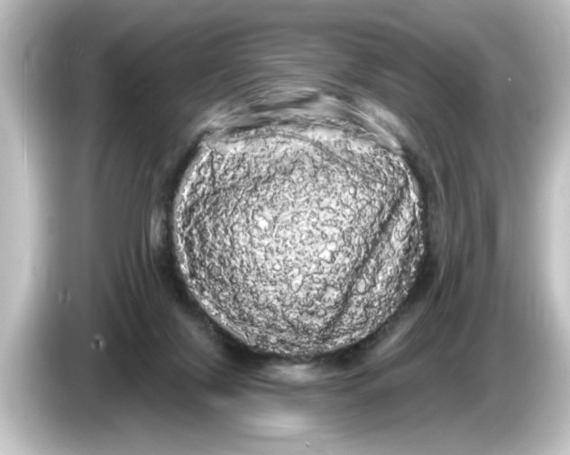 X0000084580071200703161748