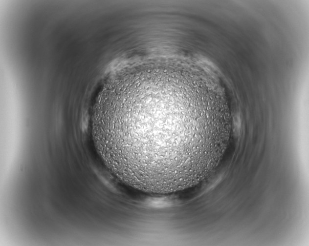 X0000084580072200703161748