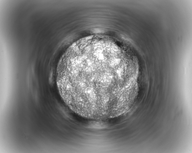 X0000084580074200703161748