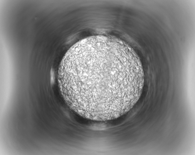 X0000084580075200703161748