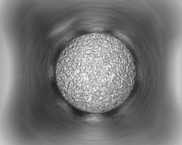 X0000084580077200703161748