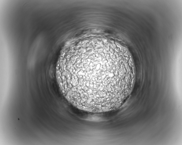 X0000084580078200703161748