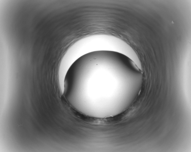 X0000084580080200703161748