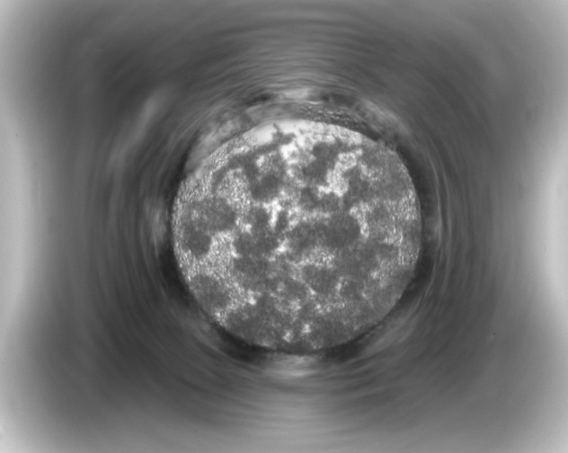 X0000084580081200703161748