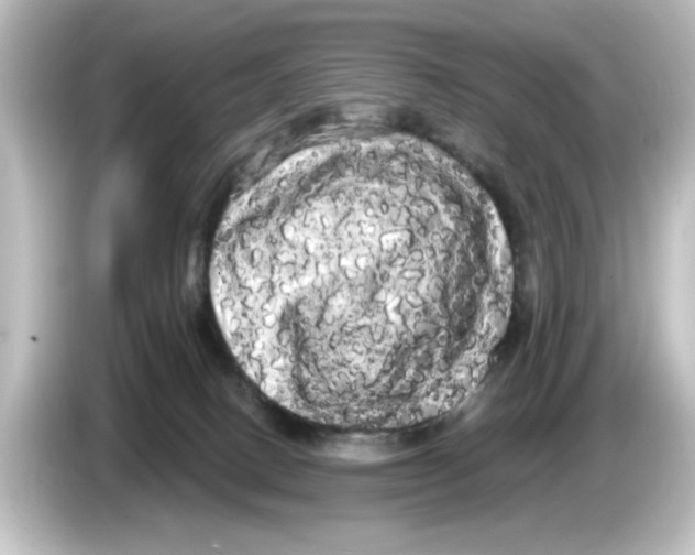 X0000084580082200703161748