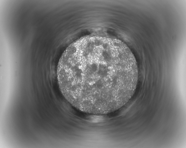 X0000084580085200703161748
