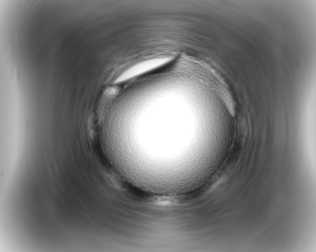 X0000084580088200703161748
