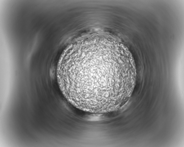 X0000084580090200703161748