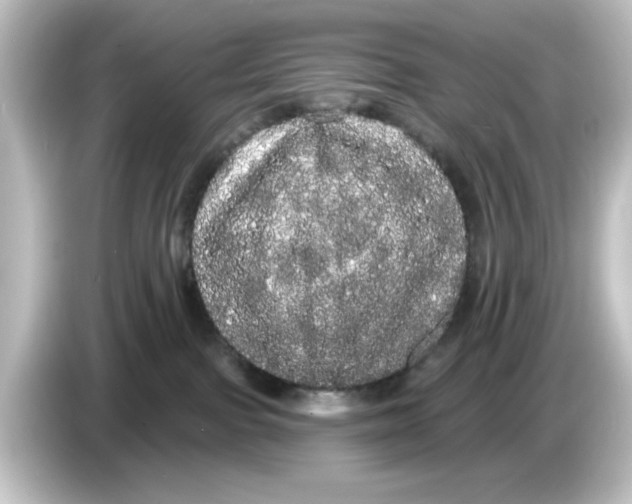 X0000084580091200703161748