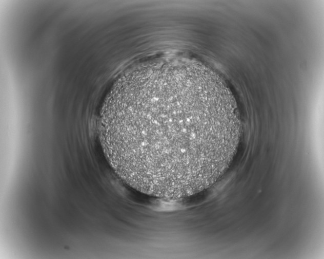 X0000084580093200703161748
