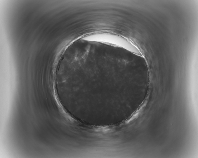 X0000084580097200703161748