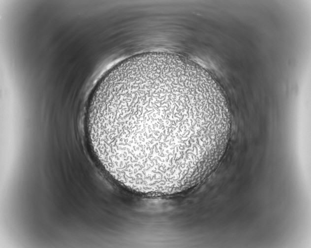 X0000084580098200703161748