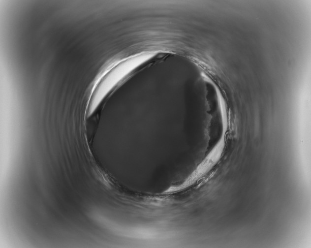 X0000084580099200703161748