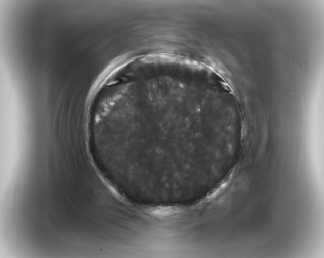 X0000084580101200703161748