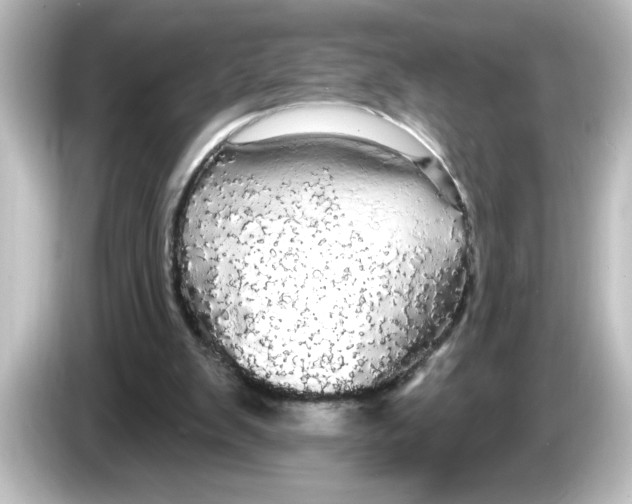X0000084580103200703161748