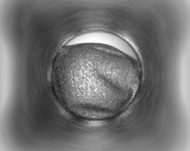 X0000084580105200703161748