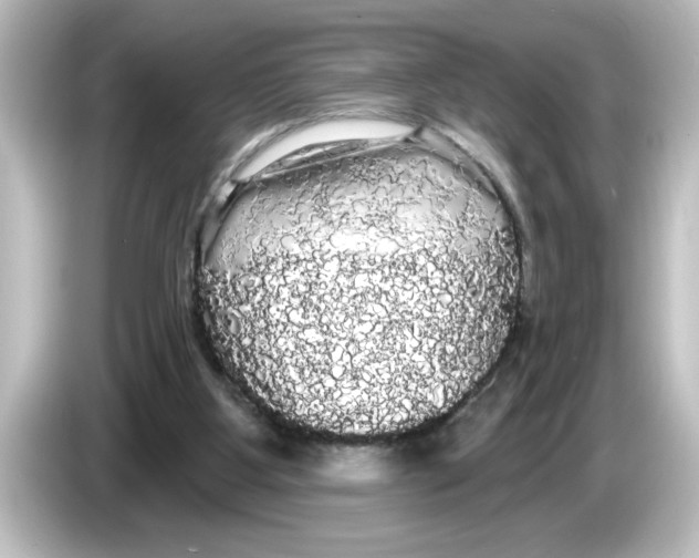 X0000084580107200703161748