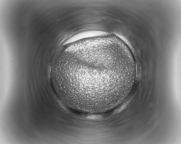 X0000084580109200703161748