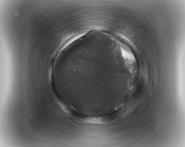X0000084580110200703161748
