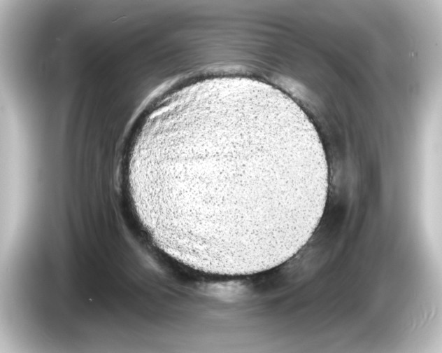 X0000084580112200703161748