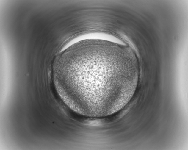 X0000084580113200703161748