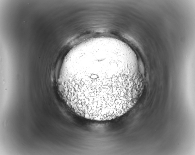 X0000084580115200703161748