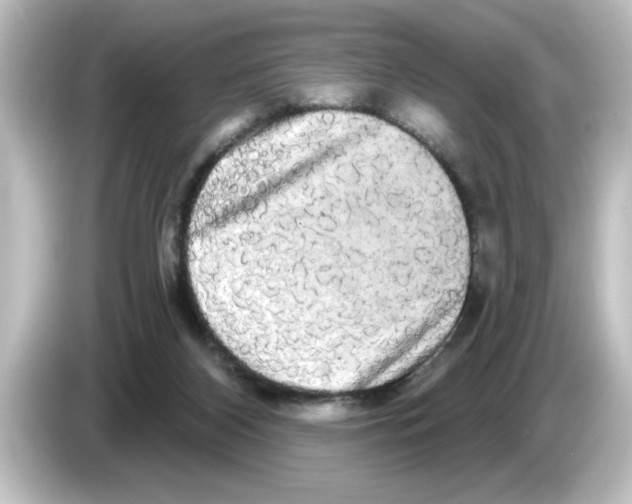 X0000084580116200703161748