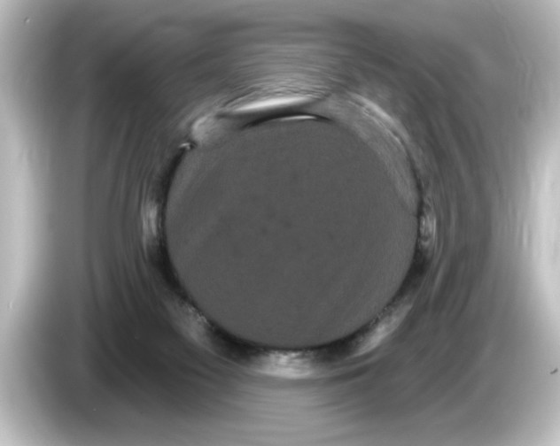 X0000084580117200703161748