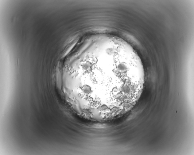 X0000084580119200703161748