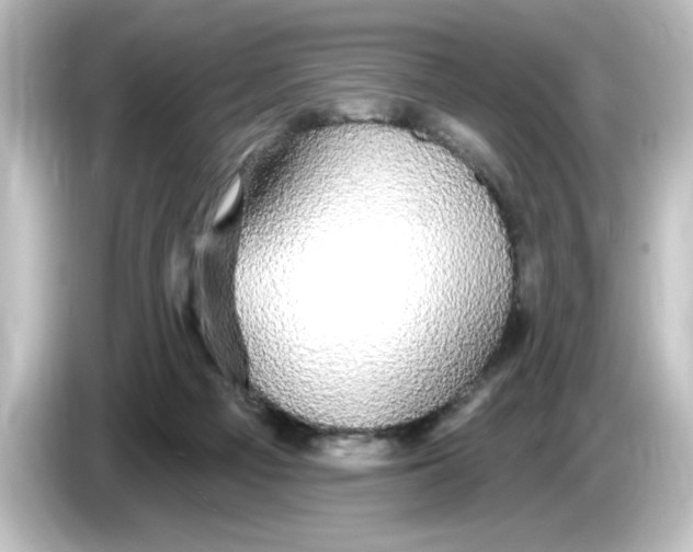 X0000084580121200703161748