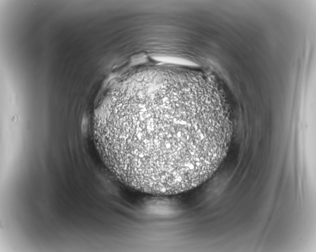 X0000084580123200703161748