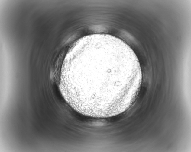X0000084580124200703161748