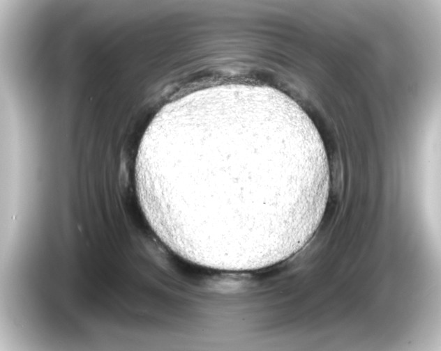 X0000084580128200703161748