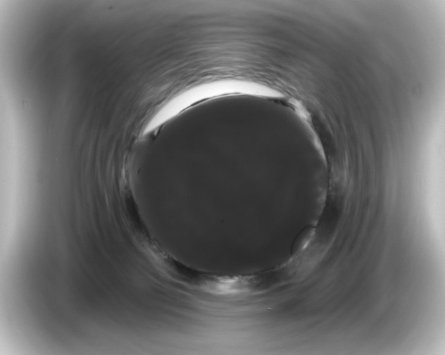 X0000084580130200703161747