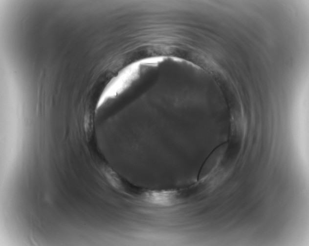 X0000084580134200703161747