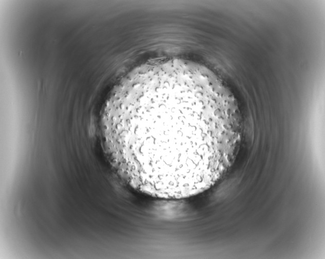 X0000084580135200703161747