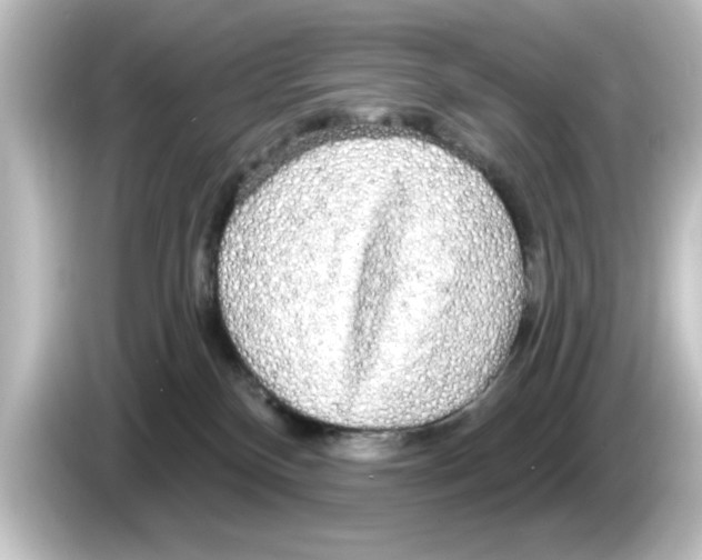X0000084580136200703161747