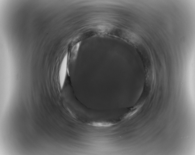 X0000084580137200703161747