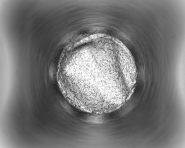 X0000084580138200703161747