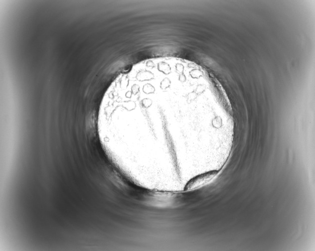 X0000084580144200703161747