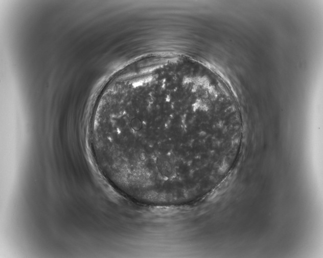 X0000084580145200703161747