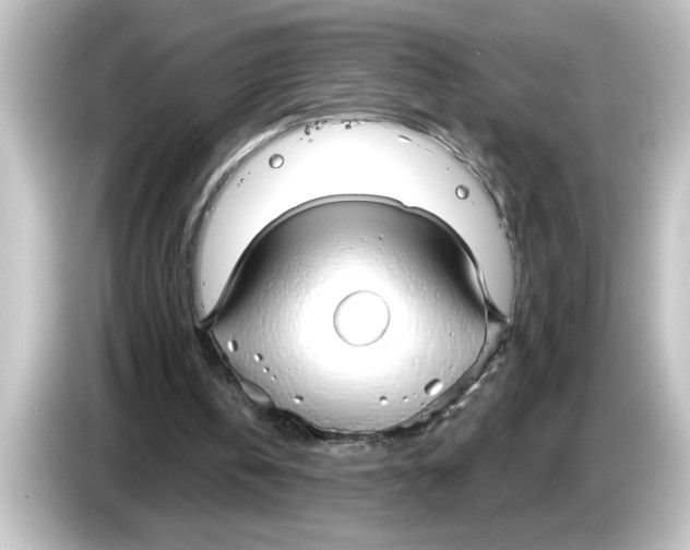 X0000084580146200703161747
