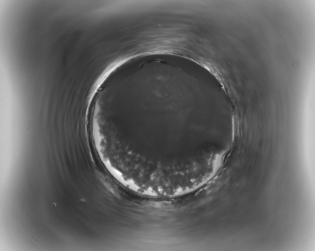 X0000084580147200703161747