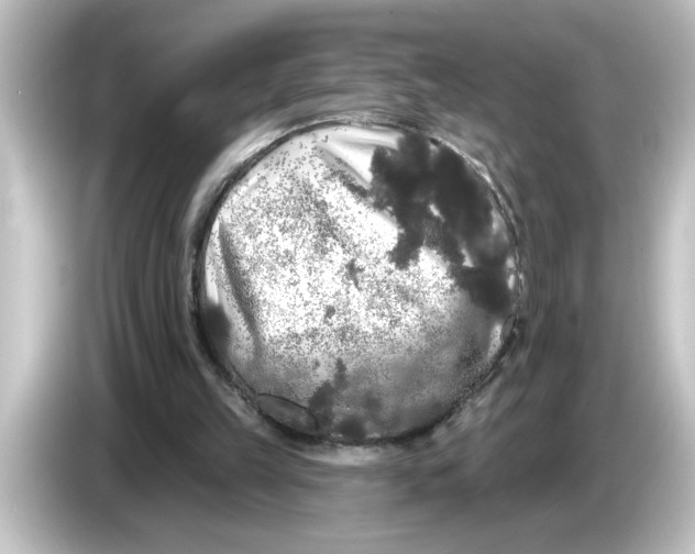 X0000084580149200703161747