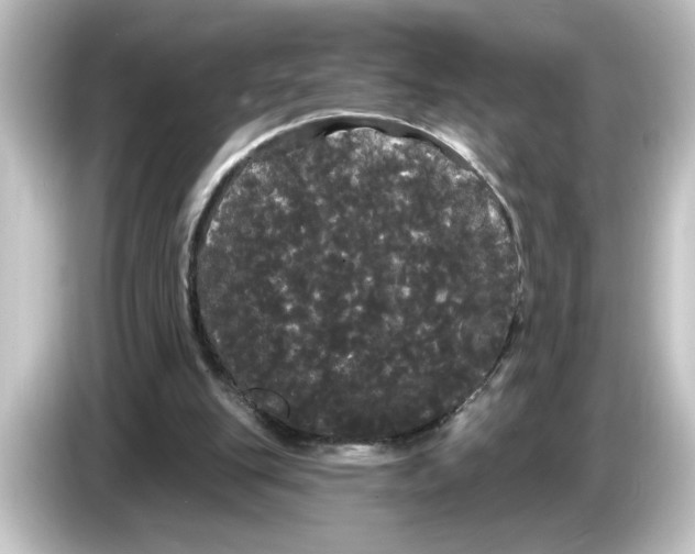 X0000084580151200703161747