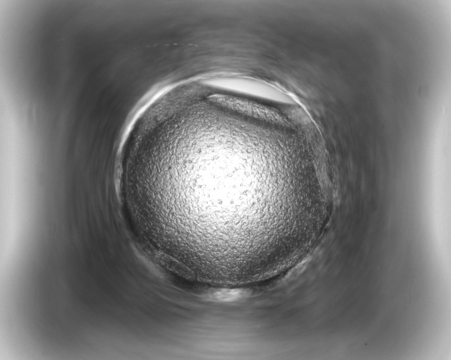 X0000084580152200703161747